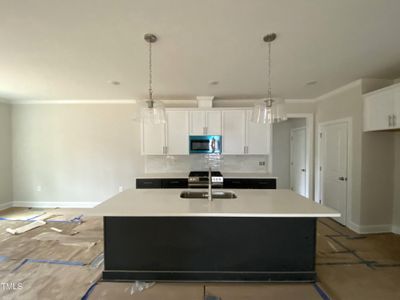 New construction Single-Family house 10000 Ligon Mill Road, Unit 2, Wake Forest, NC 27587 - photo 4 4