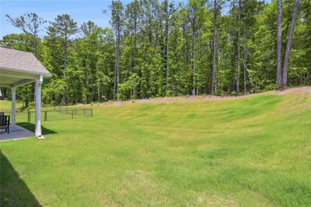 New construction Single-Family house 8325 Loch Lomand Lane, Winston, GA 30187 - photo 22 22