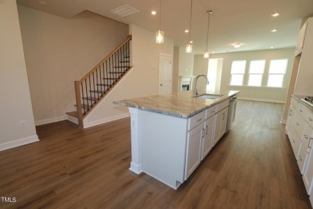 New construction Single-Family house 499 Wendover Parkway, Pittsboro, NC 27312 Hyde- photo 26 26