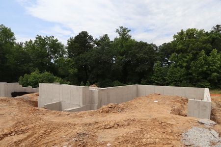 New construction Townhouse house 2501 Red Bluff Road, Apex, NC 27502 Blair - Legacy Collection- photo 5 5