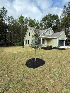 View of massive side yard surrounded by trees and Sam Houston National Forest.