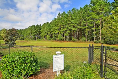 New construction Single-Family house 280 Pine Crest View Drive, Summerville, SC 29486 HANOVER- photo 67 67