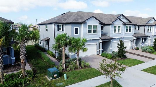 New construction Townhouse house 9683 Ashworth Place, Land O' Lakes, FL 34637 Celeste- photo 0