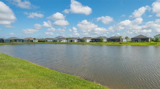New construction Single-Family house 14526 Paddlers Crossing, Parrish, FL 34219 - photo 41 41