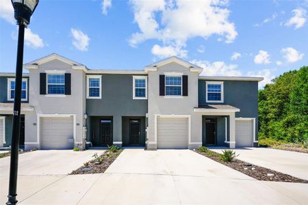 New construction Townhouse house 1631 Hubbell Road, Wesley Chapel, FL 33543 - photo 61 61