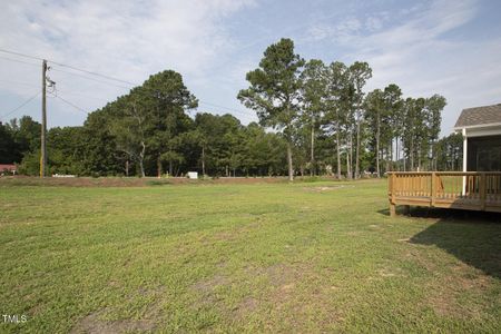 New construction Single-Family house 60 Rising Star Dr, Clayton, NC 27520 Asheboro- photo 31 31