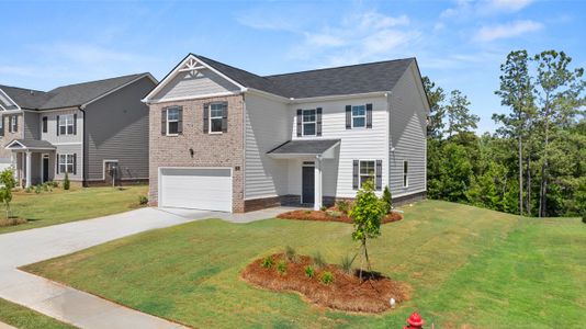 New construction Single-Family house 114 Woodbrook Trail, Newnan, GA 30265 Flora- photo 2 2