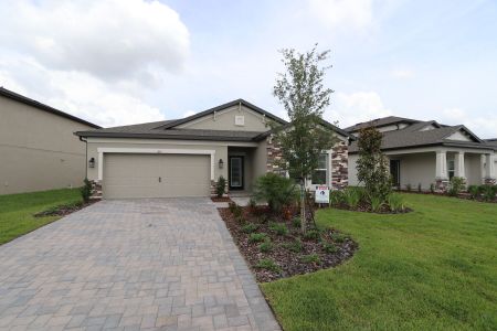 New construction Single-Family house 837 Hillshire Place, Spring Hill, FL 34609 Marque- photo 16 16