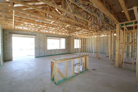 New construction Single-Family house 31835 Sapna Chime Drive, Wesley Chapel, FL 33545 Salinas- photo 15 15