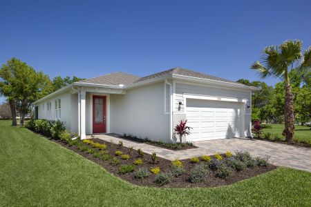 New construction Single-Family house 867 Ruddy Quail Pl, Sun City Center, FL 33573 - photo 0