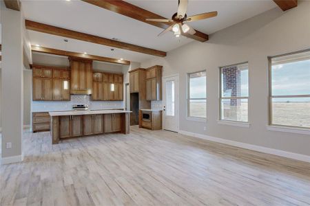 New construction Single-Family house 281 Alondrita Street, Leonard, TX 75452 - photo 11 11