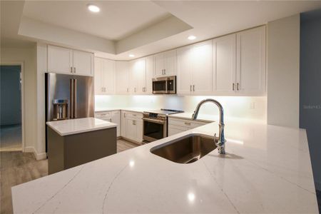 New construction Condo/Apt house 125 Island Way, Unit 403, Clearwater, FL 33767 - photo 15 15