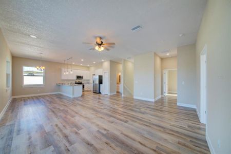 New construction Single-Family house 4033 Jewfish Drive, Hernando Beach, FL 34607 - photo 27 27