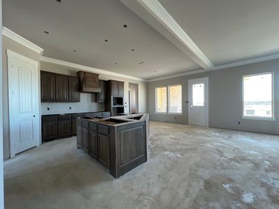 New construction Single-Family house 4105 Old Springtown Road, Weatherford, TX 76085 - photo 4 4