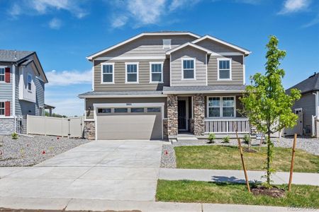 New construction Single-Family house 3803 Candlewood Drive, Johnstown, CO 80534 Elderberry- photo 13 13