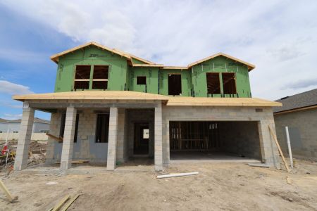 New construction Single-Family house 31835 Sapna Chime Drive, Wesley Chapel, FL 33545 Salinas- photo 8 8