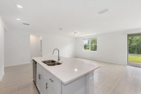 New construction Single-Family house 2931 Sunstar Drive, Saint Cloud, FL 34772 Foxglove- photo 17 17