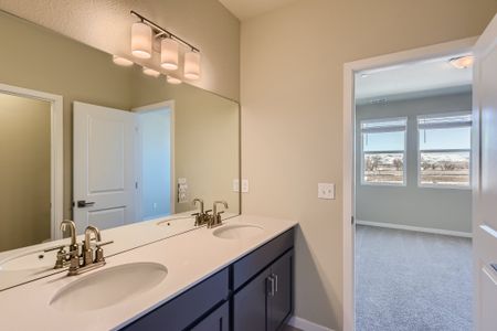 New construction Townhouse house 755 Pokeweed Ln, Fort Collins, CO 80524 Grove- photo 15 15