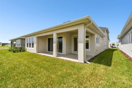 New construction Single-Family house 6165 Jensen View Avenue, Apollo Beach, FL 33572 The Stratum- photo 31 31