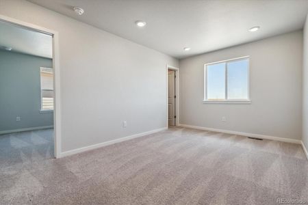 New construction Single-Family house 3282 N Highlands Creek Parkway, Aurora, CO 80019 - photo 19 19