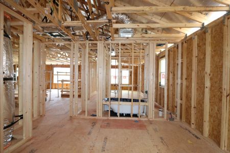 New construction Single-Family house 9611 Crescent Ray Drive, Wesley Chapel, FL 33545 Dali- photo 39 39