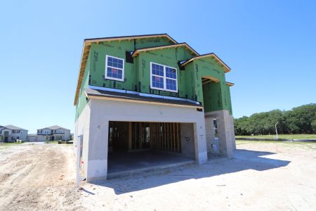New construction Single-Family house 31810 Sapna Chime Drive, Wesley Chapel, FL 33545 Mira Lago- photo 45 45