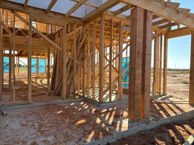 New construction Single-Family house 1228 Comal Lane, Springtown, TX 76087 Briscoe- photo 5 5