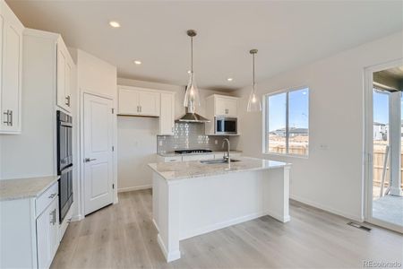 New construction Single-Family house 846 Sawdust Dr, Brighton, CO 80601 - photo 7 7