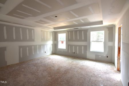 New construction Single-Family house 150 Spotted Bee Way, Louisburg, NC 27549 - photo 7 7