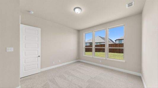 New construction Single-Family house 709 Rustic Ridge Drive, Lavon, TX 75166 - photo 22 22