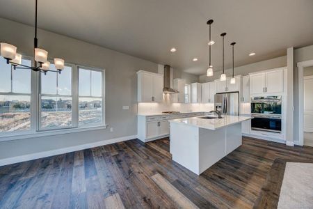 New construction Single-Family house 8412 Cromwell Circle, Windsor, CO 80528 - photo 17 17