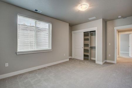 New construction Townhouse house 6248 Vernazza Way, Windsor, CO 80550 - photo 102 102