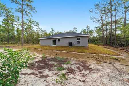 New construction Single-Family house 131 Nw Commodore Road, Dunnellon, FL 34431 - photo 2 2