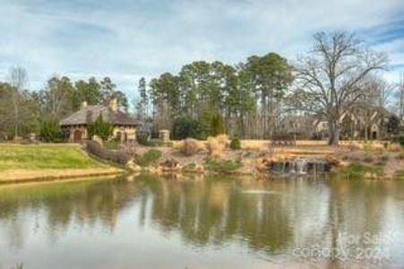 New construction Single-Family house 8002 Skye Lochs Drive, Unit 38, Waxhaw, NC 28173 - photo 6 6