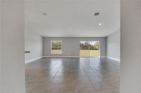 New construction Single-Family house 123 Colchester Place, Kissimmee, FL 34758 - photo