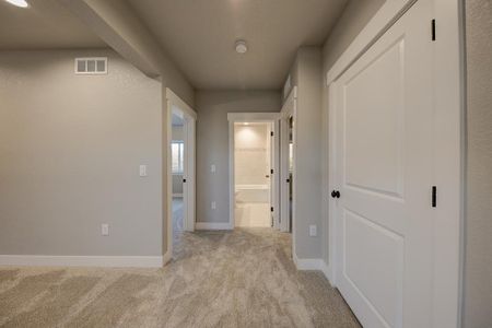 New construction Single-Family house 8412 Cromwell Circle, Windsor, CO 80528 - photo 39 39