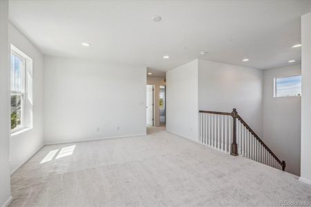 New construction Single-Family house 3803 Candlewood Drive, Johnstown, CO 80534 Elderberry- photo 8 8