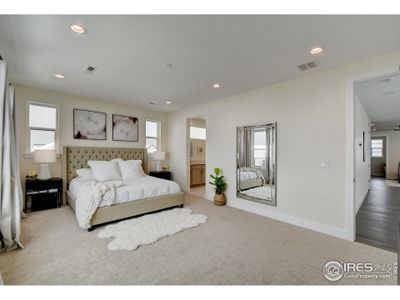 New construction Single-Family house 1846 Vista Valley Dr, Windsor, CO 80550 - photo 21 21