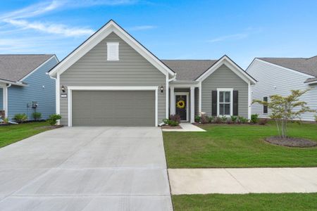 New construction Single-Family house 234 Garden Gate Way, Summerville, SC 29486 - photo 0