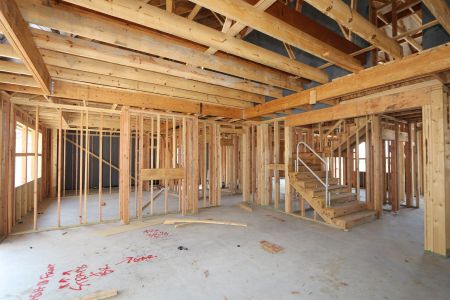 New construction Single-Family house 796 Faith Bud Lane, Lavon, TX 75166 Malmo- photo 15 15