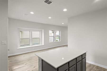 New construction Single-Family house 108 Pentro Path, Georgetown, TX 78626 Pacesetter- photo 13 13