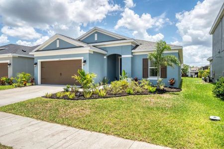 New construction Single-Family house 5415 Limelight Drive, Apollo Beach, FL 33572 - photo 0 0