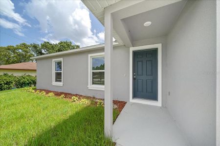 New construction Single-Family house 41 Palm Leaf Lane, Palm Coast, FL 32164 - photo