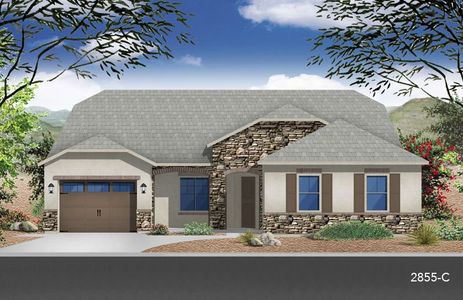 New construction Single-Family house 17165 West Harmont Drive, Waddell, AZ 85355 - photo 3 3