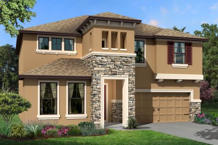 New construction Single-Family house Renau, 2926 Ivory Bluff Court, Zephyrhills, FL 33540 - photo