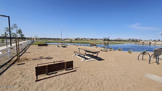 New construction Single-Family house 32137 N Tiny Dancer Drive, San Tan Valley, AZ 85140 - photo 9 9