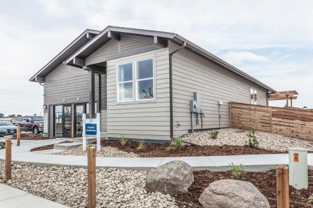 New construction Single-Family house Christie, 2908 Conquest Street, Fort Collins, CO 80524 - photo