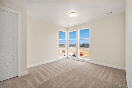 New construction Single-Family house 1304 Alyssa Drive, Timnath, CO 80547 4- photo 12 12