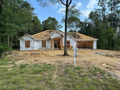 New construction Single-Family house 1197 Road 660, Dayton, TX 77535 - photo 0 0