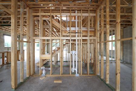 New construction Single-Family house 10708 New Morning Drive, Tampa, FL 33647 Sonoma II- photo 12 12